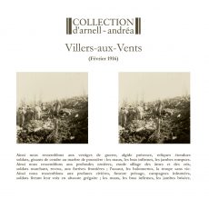 Collection D'Arnell-Andrea "Villers-Aux-Vents"