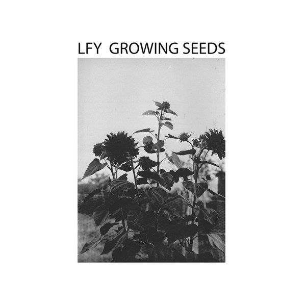 Lust For Youth "Growing Seeds"