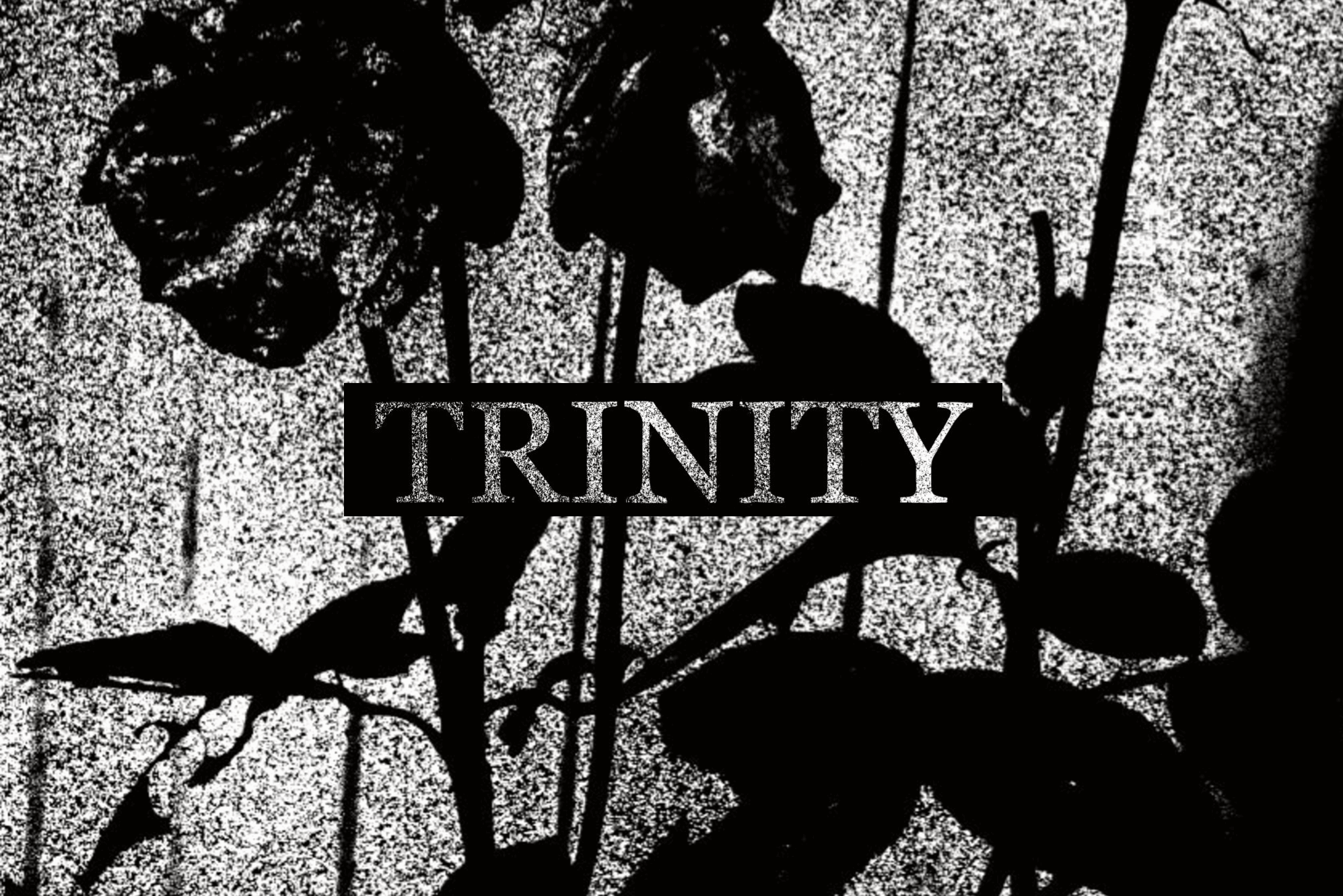 Trinity webzine